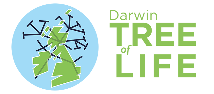 Darwin Tree of Life logo