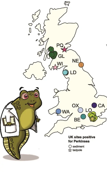 Figure from Poirier et al. 2026, ISME Communications